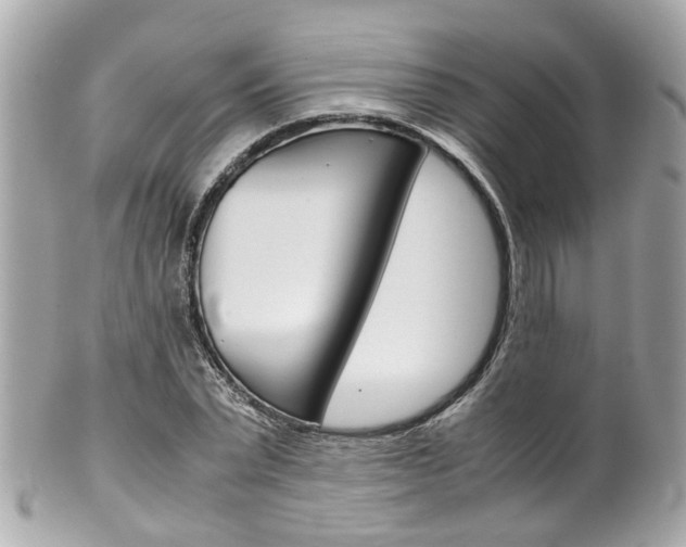 X0000102010783200807180910
