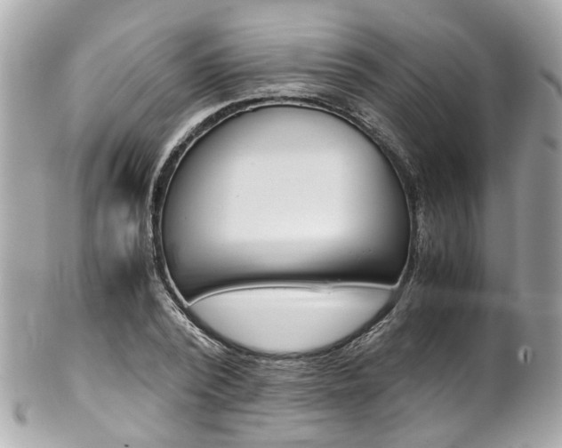 X0000102010784200807180910