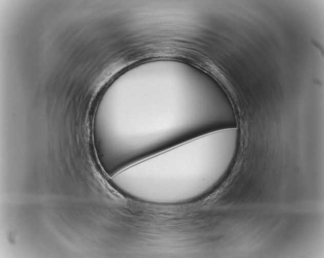X0000102010787200807180910