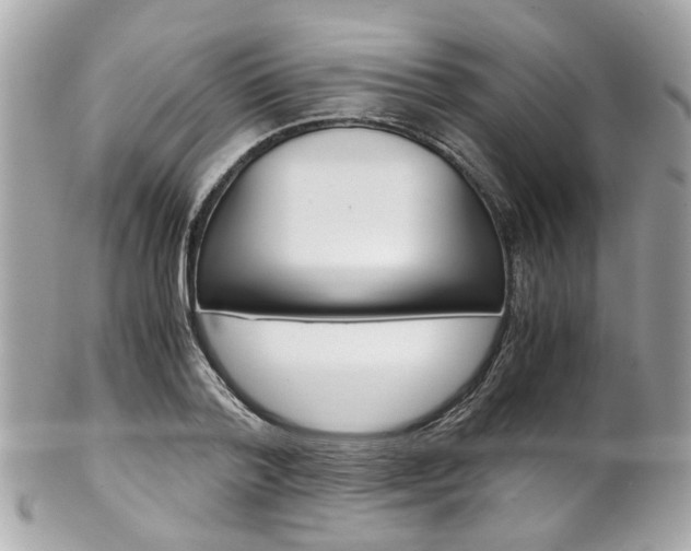 X0000102010788200807180910