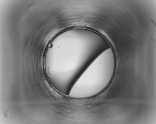 X0000102010791200807180910