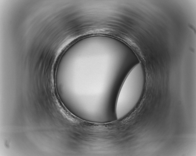 X0000102010792200807180910