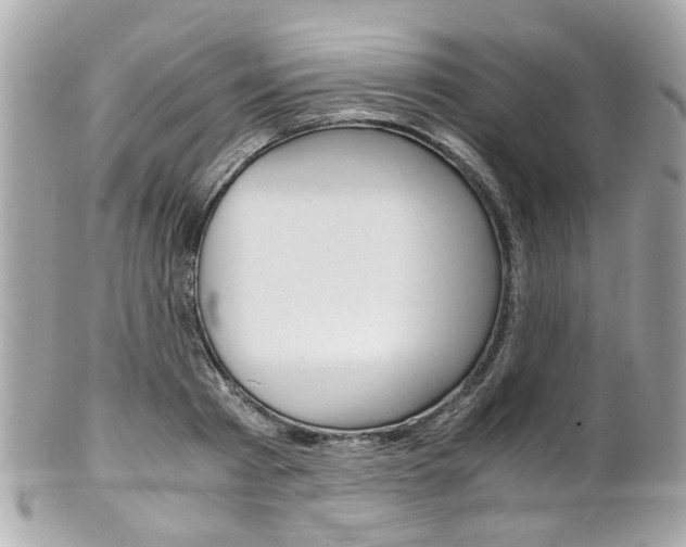 X0000102010793200807180910