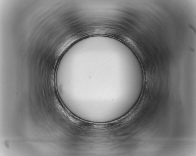 X0000102010794200807180910