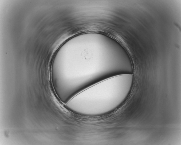 X0000102010795200807180910