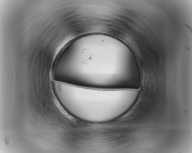 X0000102010796200807180910