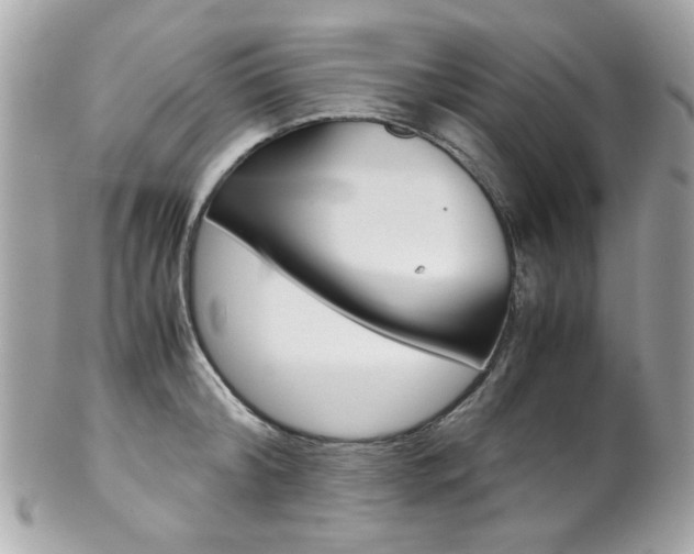 X0000102010804200807180909