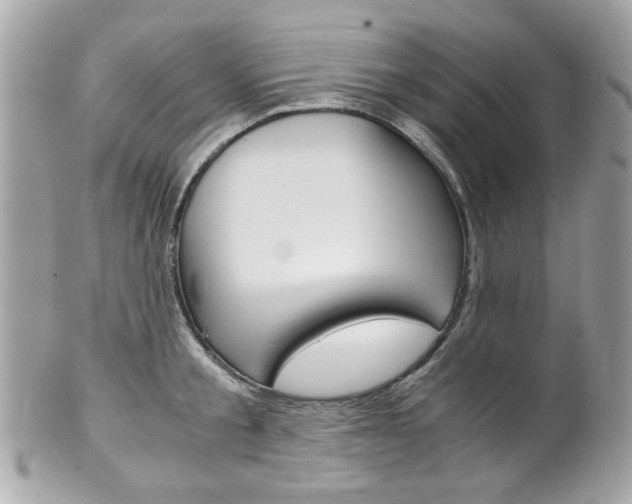 X0000102010805200807180909