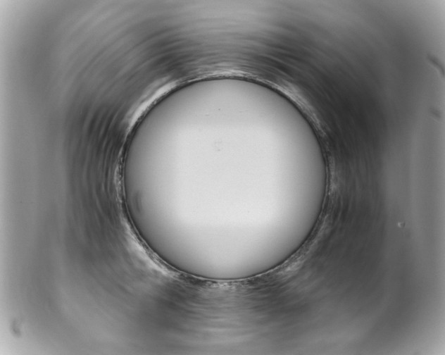 X0000102010806200807180909