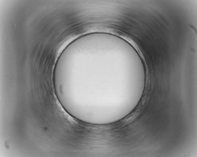 X0000102010807200807180909