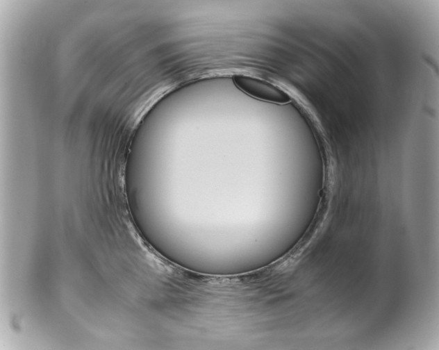 X0000102010809200807180909