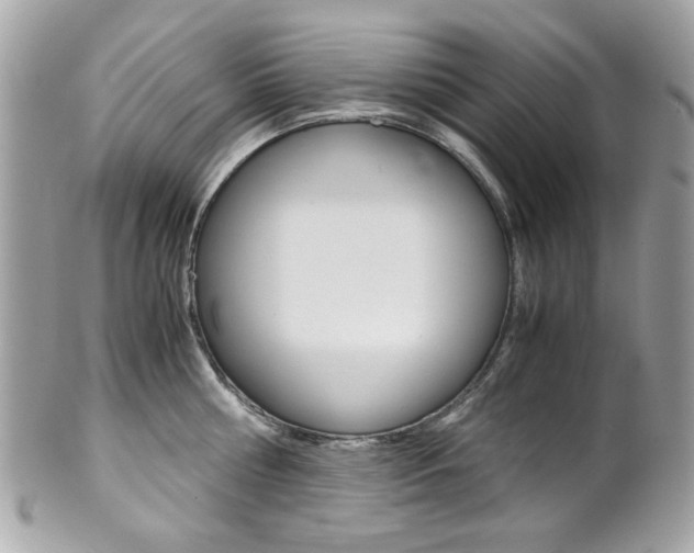 X0000102010810200807180909