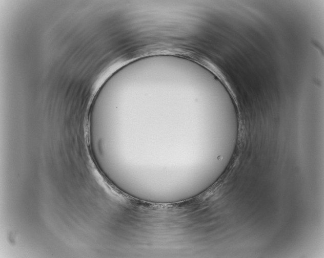 X0000102010811200807180909
