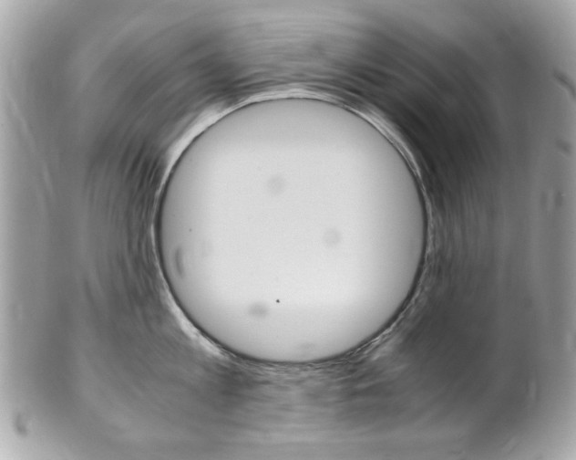 X0000102010813200807180909