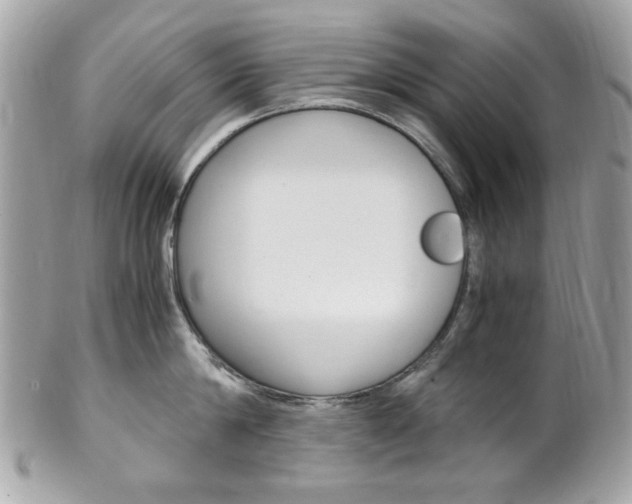 X0000102010814200807180909