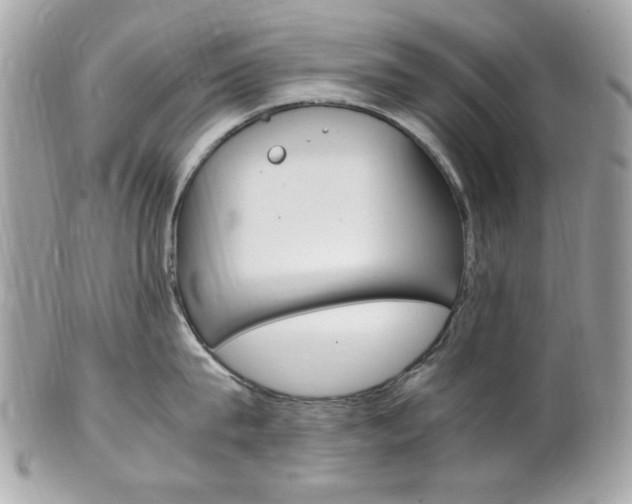X0000102010815200807180909