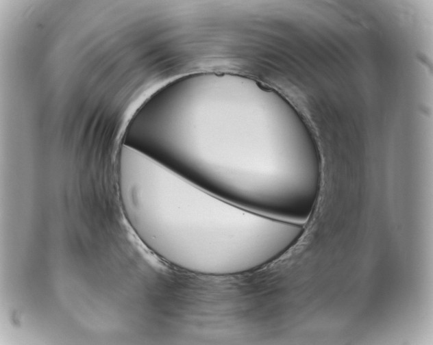X0000102010816200807180909
