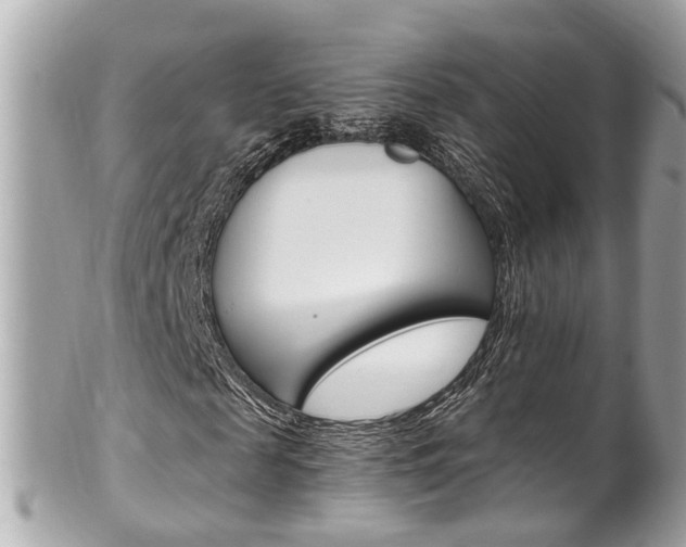 X0000102010817200807180909