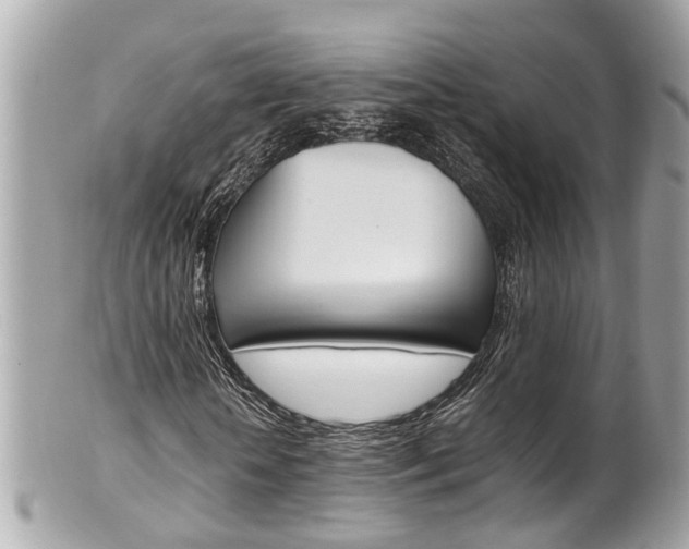 X0000102010818200807180909
