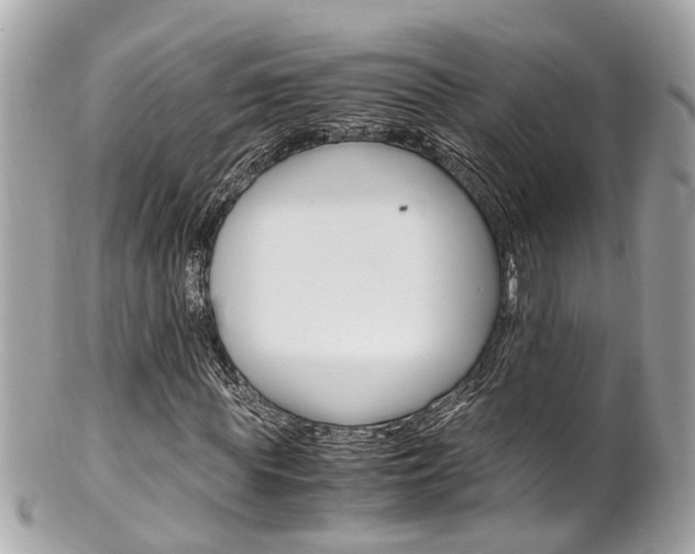 X0000102010819200807180909