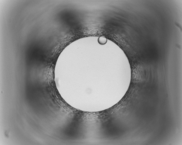 X0000102010820200807180909