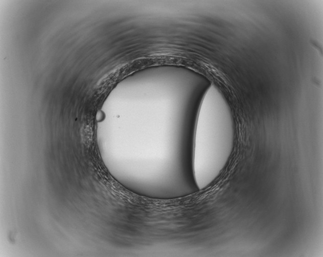 X0000102010821200807180909