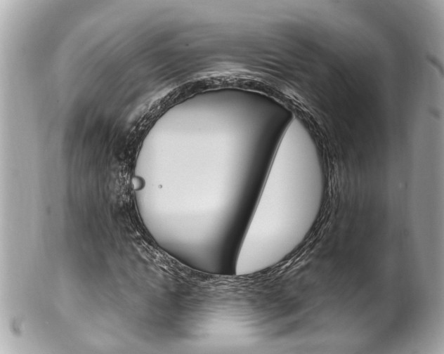 X0000102010822200807180909