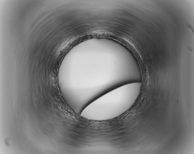 X0000102010823200807180909