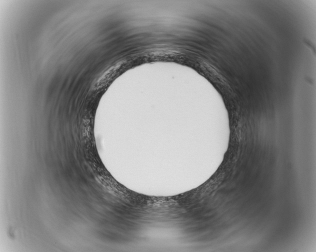 X0000102010824200807180909