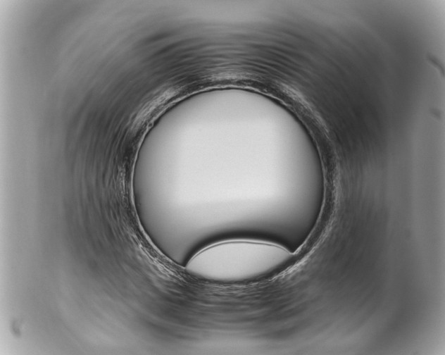 X0000102010825200807180909