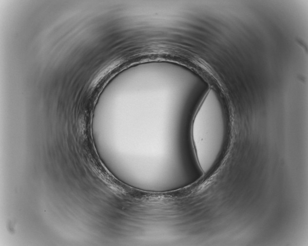 X0000102010826200807180909