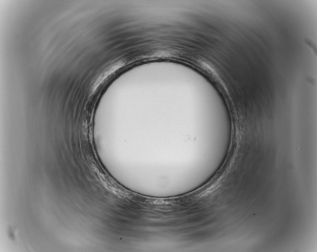 X0000102010827200807180909