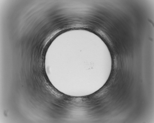 X0000102010828200807180909