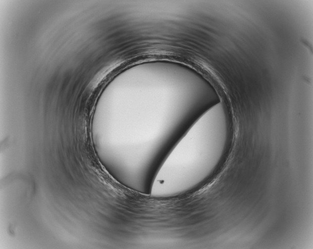 X0000102010829200807180909