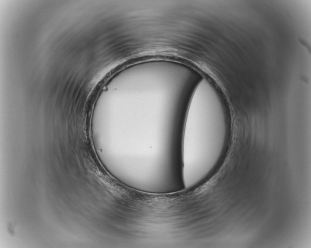 X0000102010830200807180909