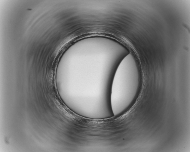 X0000102010831200807180909