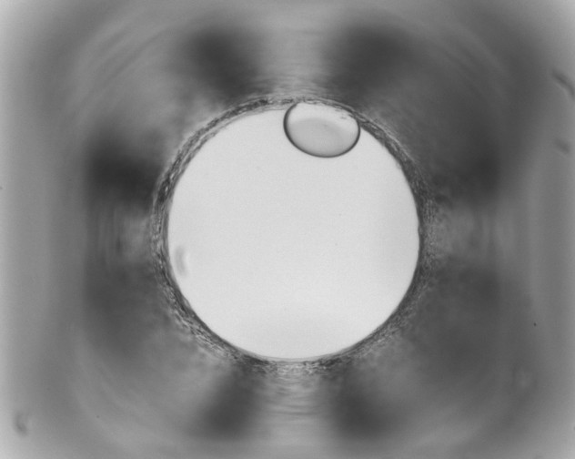 X0000102010832200807180909
