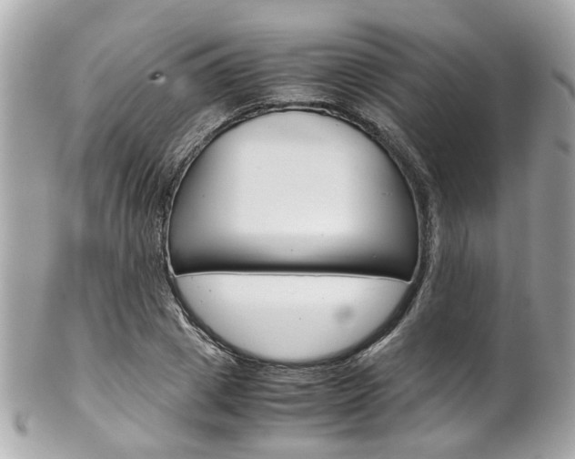 X0000102010833200807180909