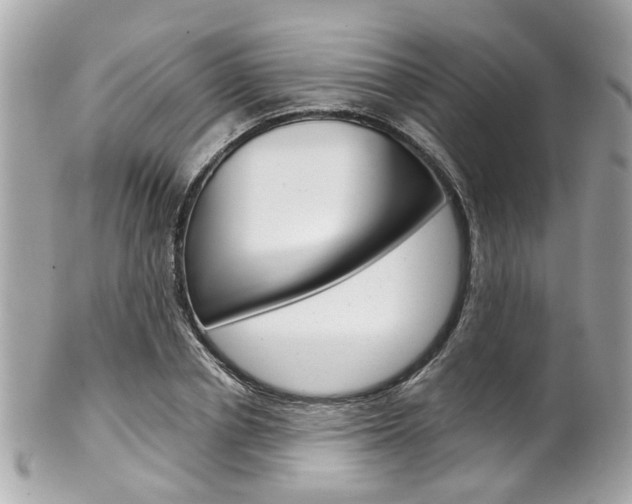 X0000102010834200807180909