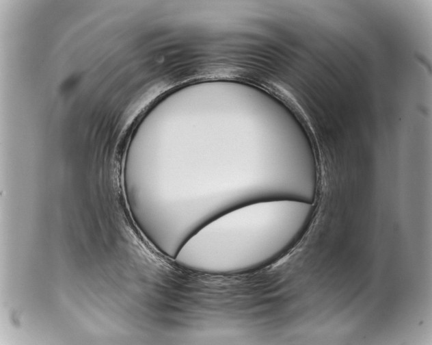 X0000102010835200807180909