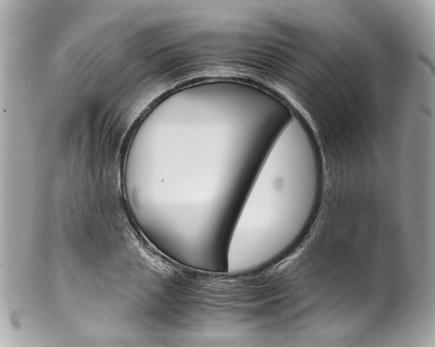 X0000102010837200807180909