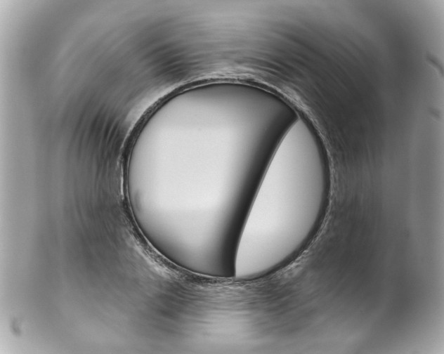 X0000102010838200807180909