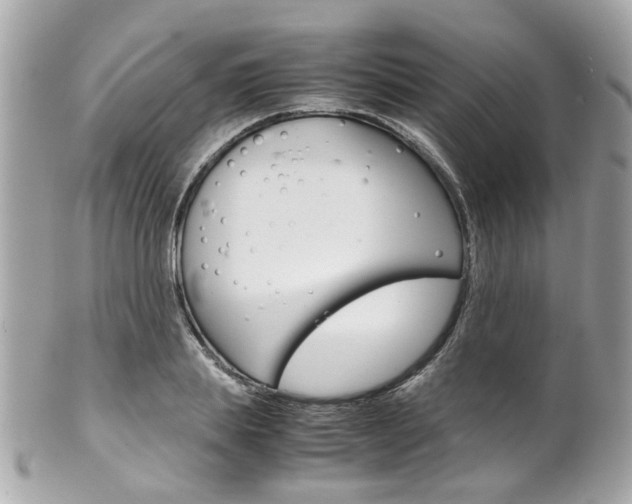 X0000102010839200807180909