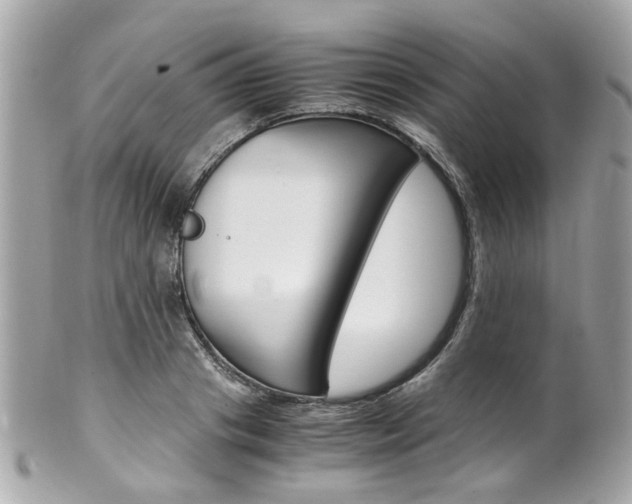 X0000102010841200807180909