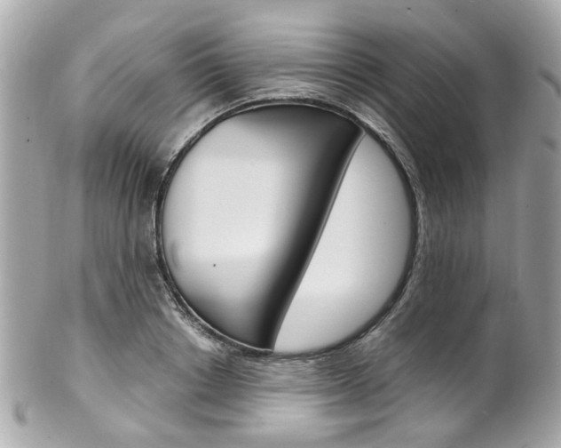 X0000102010842200807180909