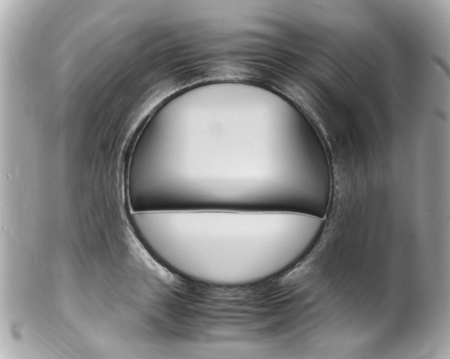 X0000102010843200807180909