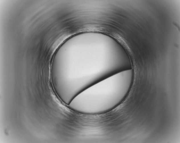 X0000102010844200807180909