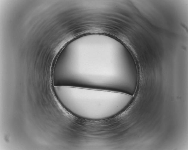 X0000102010845200807180909