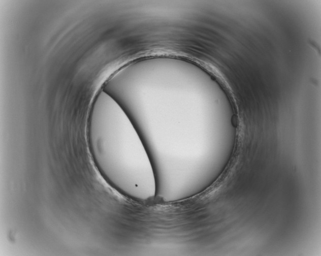 X0000102010847200807180909