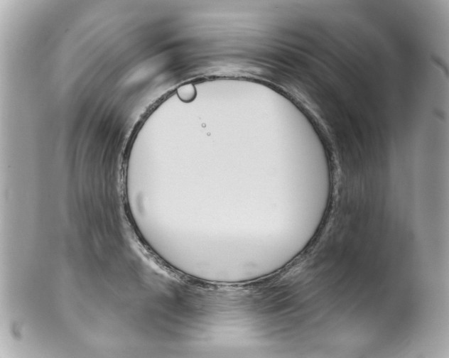 X0000102010848200807180909